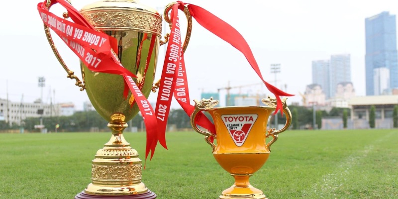 Quá trình hình thành và sự phát triển của giải đấu V-League